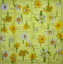 184 Narzissen - 3 lagig -